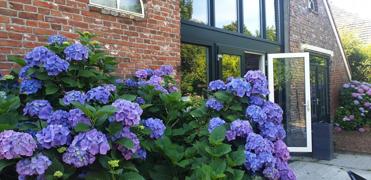 Boeren Maison Wedde Ngoại thất bức ảnh
